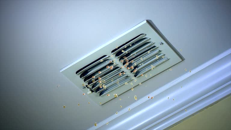 Best Local Air Duct Cleaning Services  in Woodlake, VA